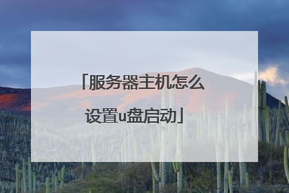服务器主机怎么设置u盘启动