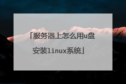 服务器上怎么用u盘安装linux系统