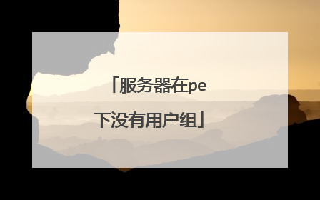 服务器在pe下没有用户组