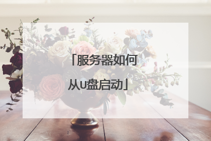 服务器如何从U盘启动