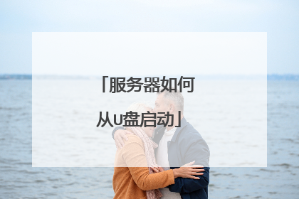 服务器如何从U盘启动