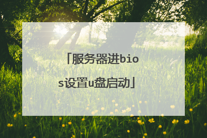 服务器进bios设置u盘启动