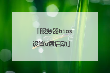 服务器bios设置u盘启动
