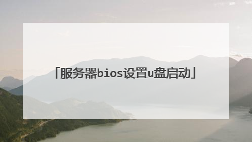 服务器bios设置u盘启动