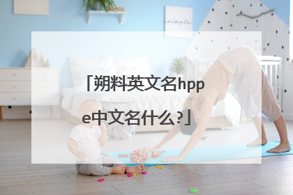 朔料英文名hppe中文名什么?
