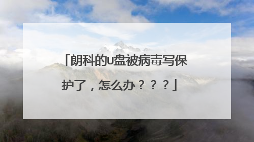 朗科的U盘被病毒写保护了,怎么办???