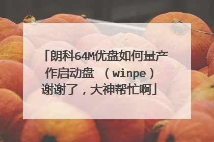 朗科64M优盘如何量产作启动盘 (winpe)谢谢了,大神帮忙啊