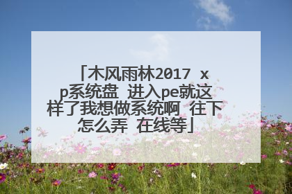 木风雨林2017 xp系统盘 进入pe就这样了我想做系统啊 往下怎么弄 在线等