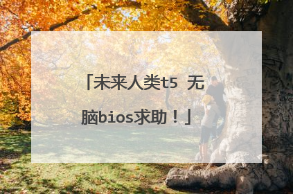 未来人类t5 无脑bios求助!