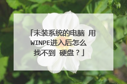 未装系统的电脑 用WINPE进入后怎么找不到 硬盘？