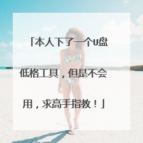本人下了一个U盘低格工具,但是不会用,求高手指教!