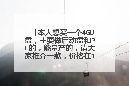 本人想买一个4GU盘,主要做启动盘和PE的,能量产的,请大家推介一款,价格在100元以内