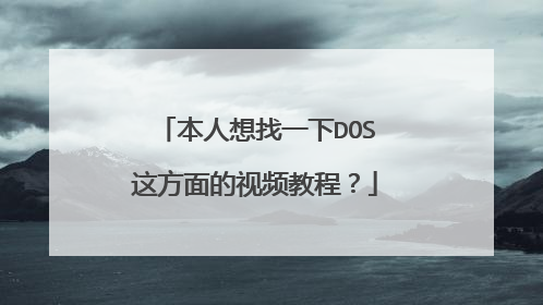 本人想找一下DOS这方面的视频教程?
