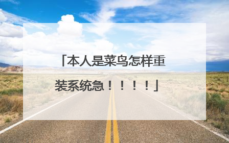 本人是菜鸟怎样重装系统急!!!!