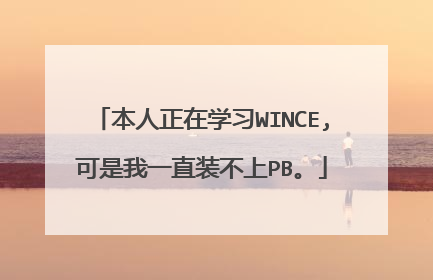 本人正在学习WINCE,可是我一直装不上PB。