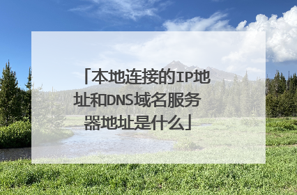 本地连接的IP地址和DNS域名服务器地址是什么