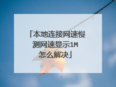 本地连接网速慢 测网速显示1M 怎么解决