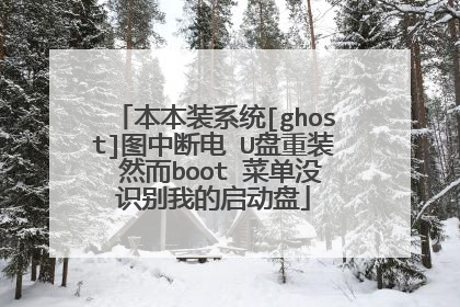 本本装系统[ghost]图中断电 U盘重装 然而boot 菜单没识别我的启动盘
