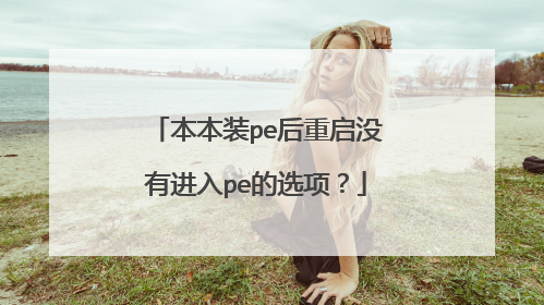 本本装pe后重启没有进入pe的选项?