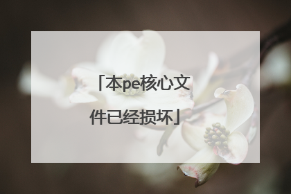 本pe核心文件已经损坏
