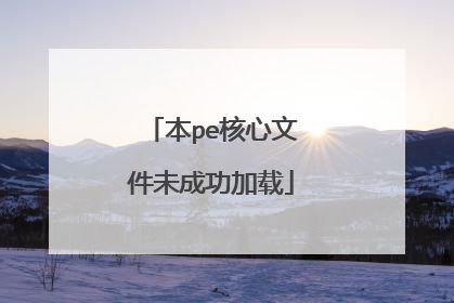 本pe核心文件未成功加载