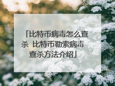 比特币病毒怎么查杀 比特币勒索病毒查杀方法介绍