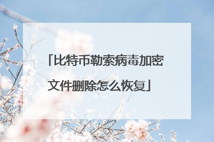 比特币勒索病毒加密文件删除怎么恢复