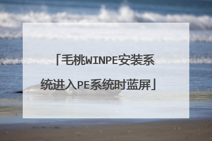 毛桃WINPE安装系统进入PE系统时蓝屏