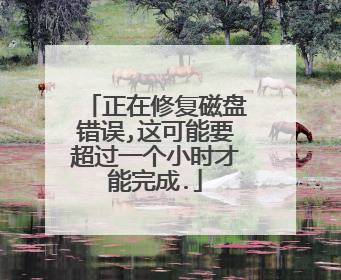 正在修复磁盘错误,这可能要超过一个小时才能完成.