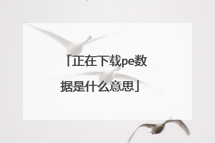 正在下载pe数据是什么意思