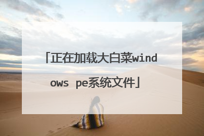 正在加载大白菜windows pe系统文件