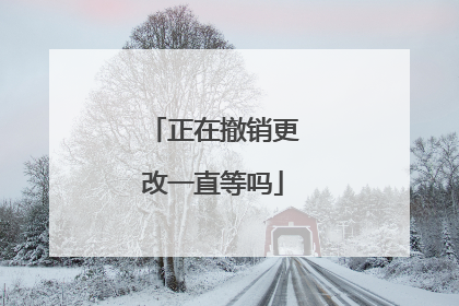 正在撤销更改一直等吗