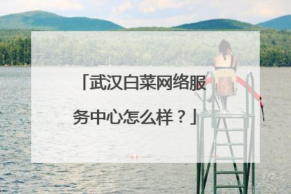 武汉白菜网络服务中心怎么样？