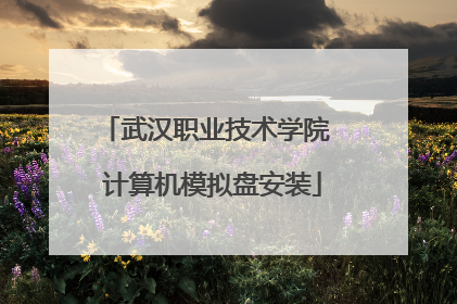 武汉职业技术学院 计算机模拟盘安装