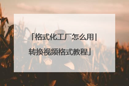 格式化工厂怎么用|转换视频格式教程