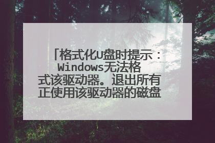 格式化U盘时提示:Windows无法格式该驱动器。退出所有正使用该驱动器的磁盘实用程序或其他程序,并确保没