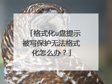 格式化u盘提示被写保护无法格式化怎么办?