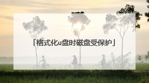 格式化u盘时磁盘受保护