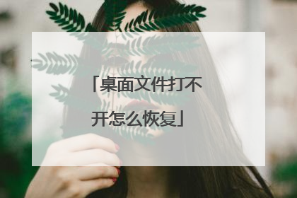 桌面文件打不开怎么恢复