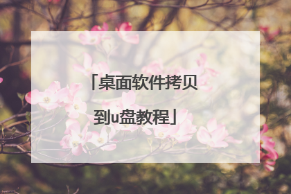 桌面软件拷贝到u盘教程