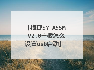梅捷SY-A55M+ V2.0主板怎么设置usb启动