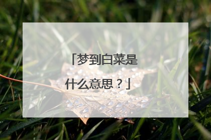 梦到白菜是什么意思？