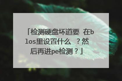 检测硬盘坏道要 在blos里设置什么 ？然后再进pe检测？