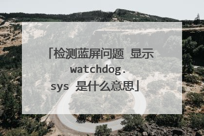 检测蓝屏问题 显示 watchdog.sys 是什么意思