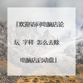 欢迎访问电脑店论坛 字样 怎么去除 电脑店启动盘