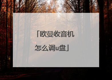 欧曼收音机怎么调u盘