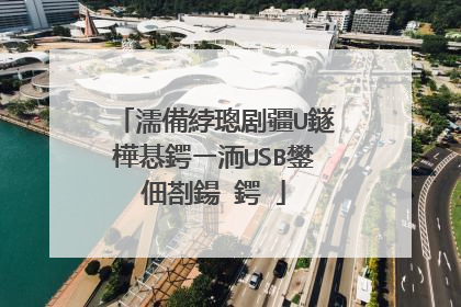 濡備綍璁剧疆U鐩樺惎鍔ㄧ洏USB鐢佃剳鍚�鍔�