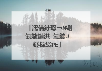 濡備綍璁￢M铏氭嫙鏈洪�氳繃U鐩樿繘PE