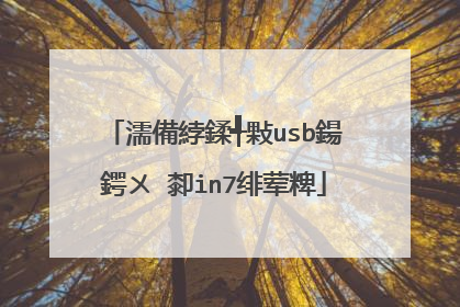 濡備綍鍒╃敤usb鍚�鍔ㄨ�厀in7绯荤粺