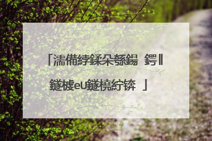 濡備綍鍒朵綔鍚�鍔║鐩榩eU鐩橈紵锛�